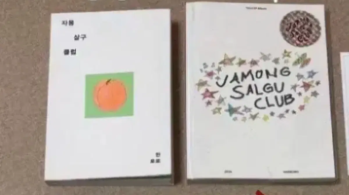 한로로 자몽살구클럽 책 앨범