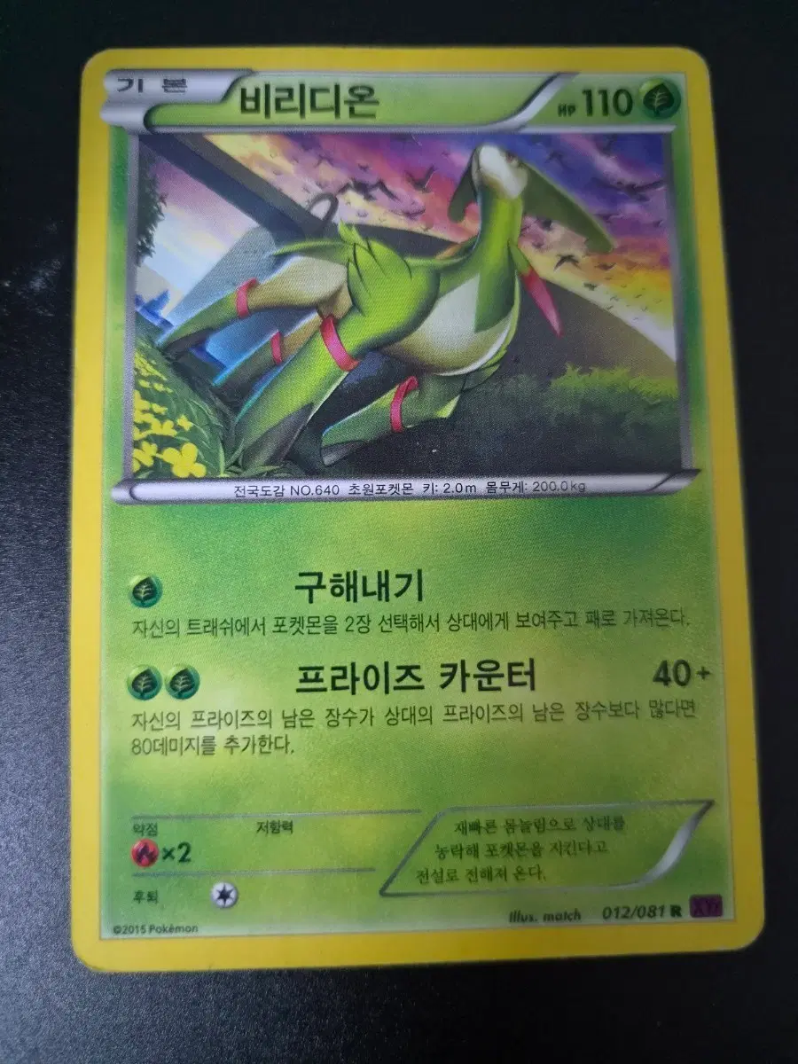 포켓몬 비리디온 카드