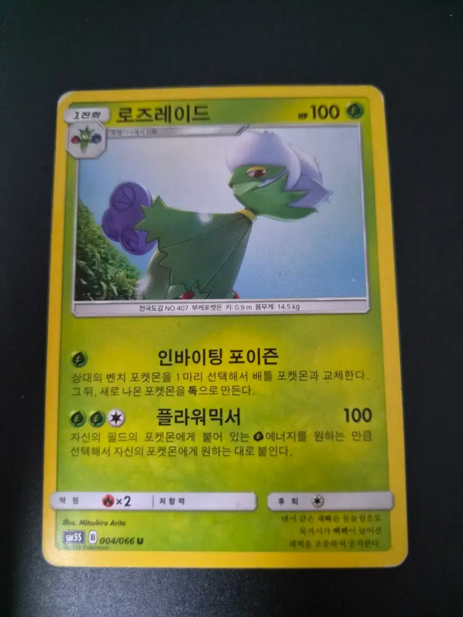 포켓몬 카드 로즈레이드