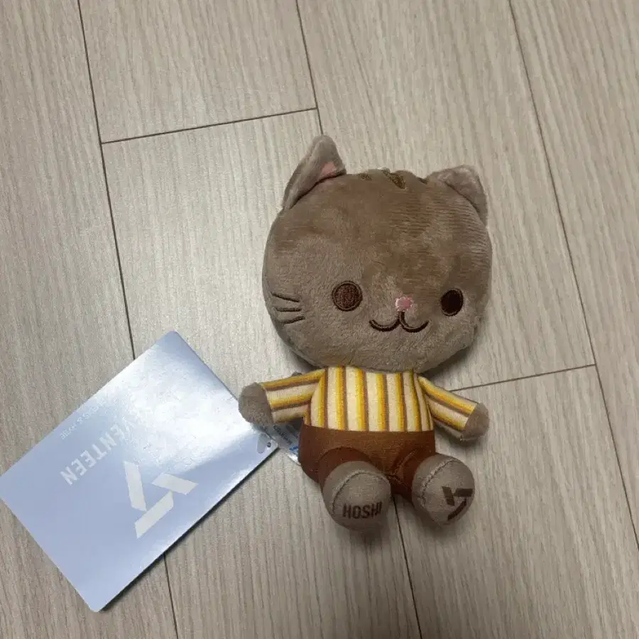 세븐틴 호시 일본 인형
