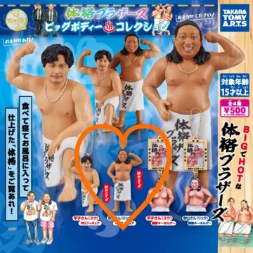 체격 브라더스 빅 바디 컬렉션