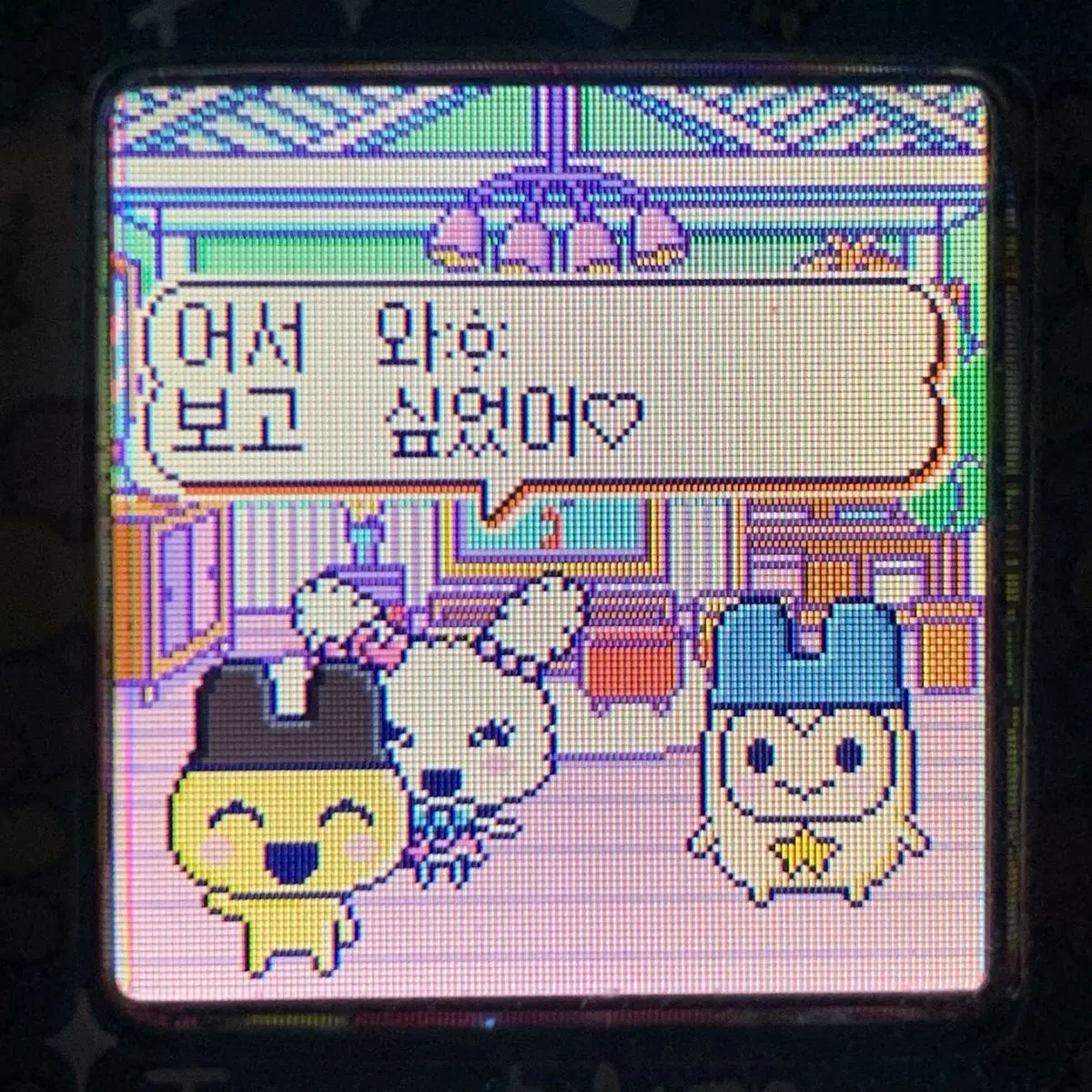 다마고치 썸 싸게 판매합니다