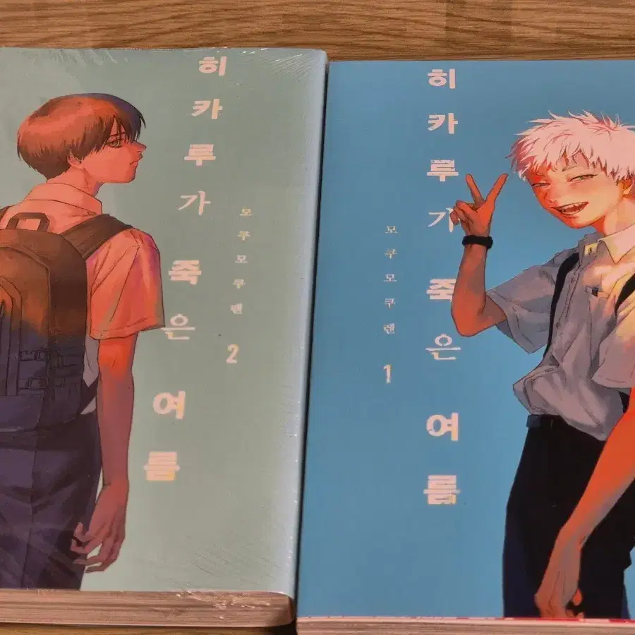 일괄)히카루가 죽은 여름 1, 2권