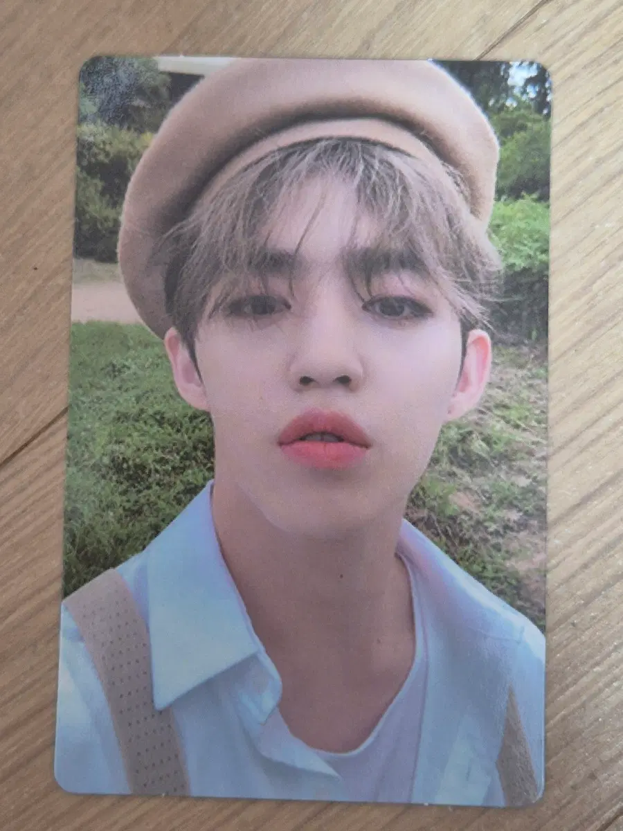 세븐틴 SVT 호프 hope 에스쿱스 포카