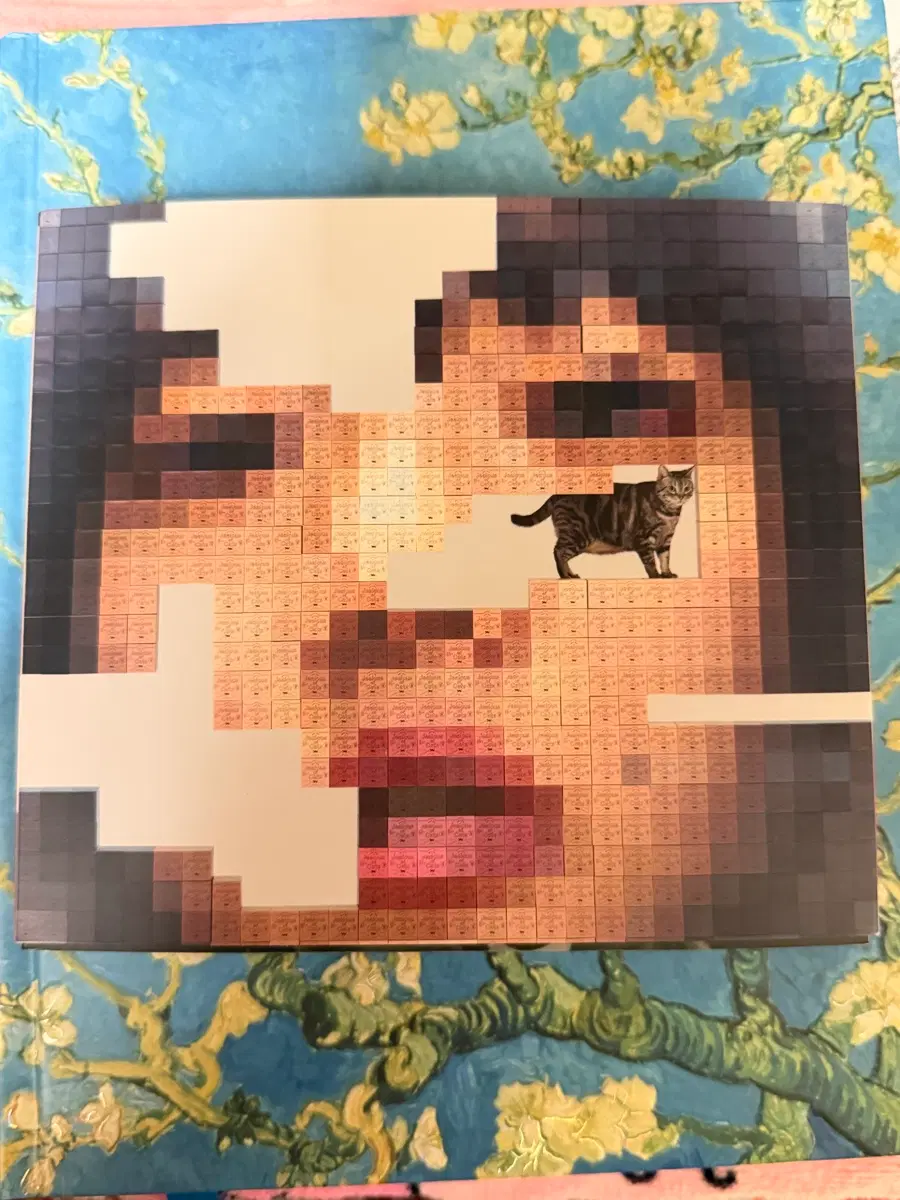 새상품)Aimyon 아이묭 고양이에 제라시 초회한정판CD + 블루레이 일본공연