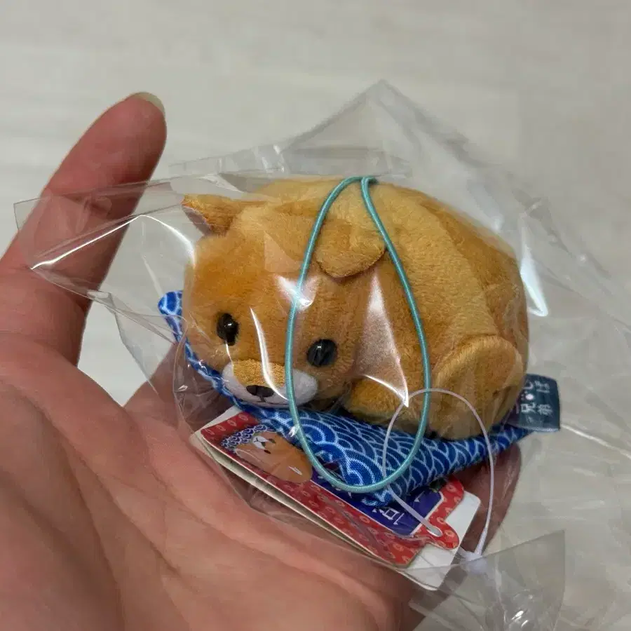 일본 시바견 인형 키링 택 있음