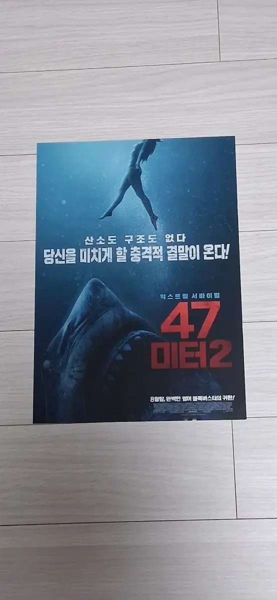 요하네스로버츠감독 소피넬리스 47미터2(2019년)전단지