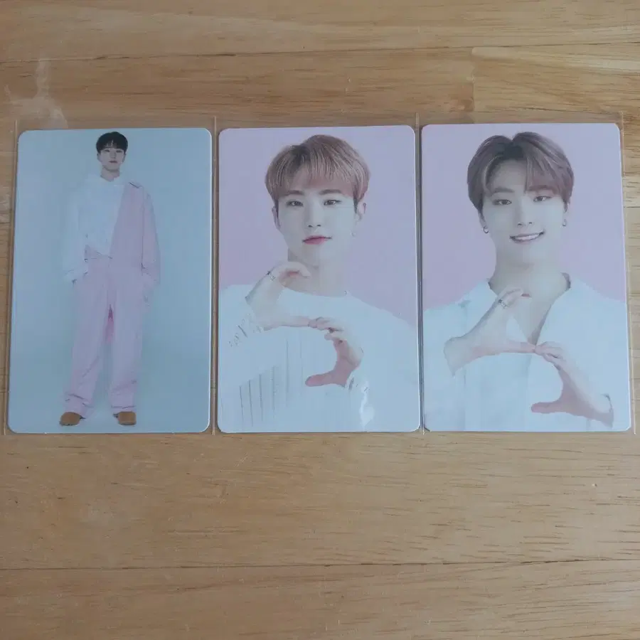 세븐틴 호시 디노 포카 3종 일괄 J