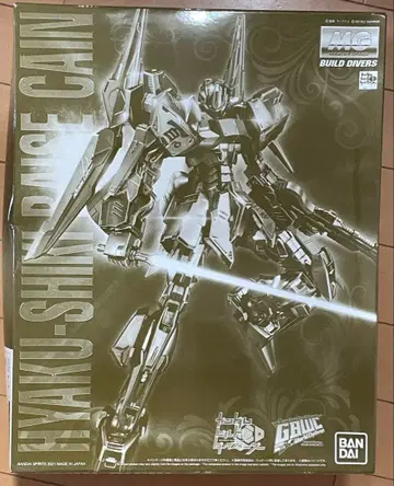 MG 1/100 백식 라이즈카인