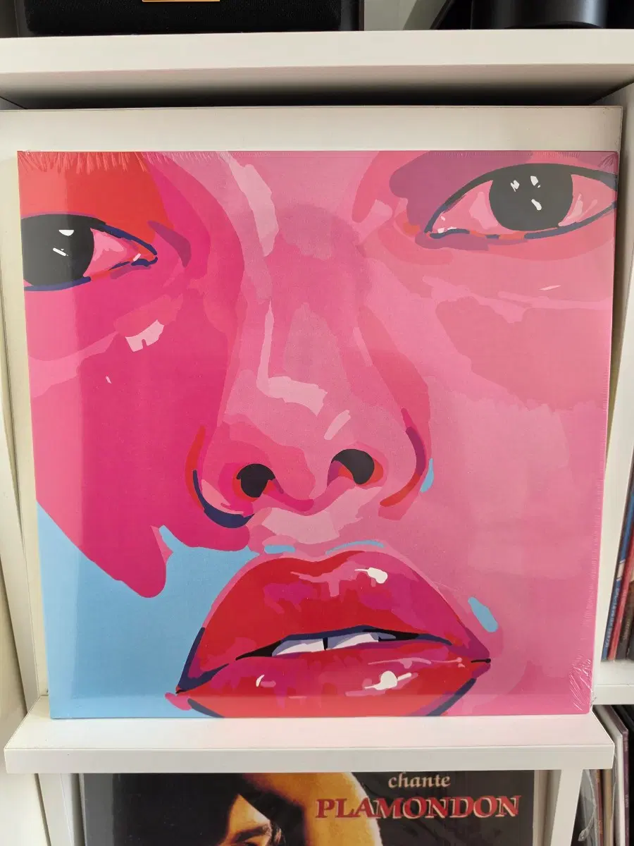 아도이 her LP 미개봉