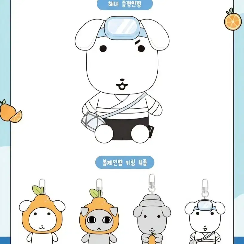 서울 경기권 제주 가나디 구매 원합니다!!