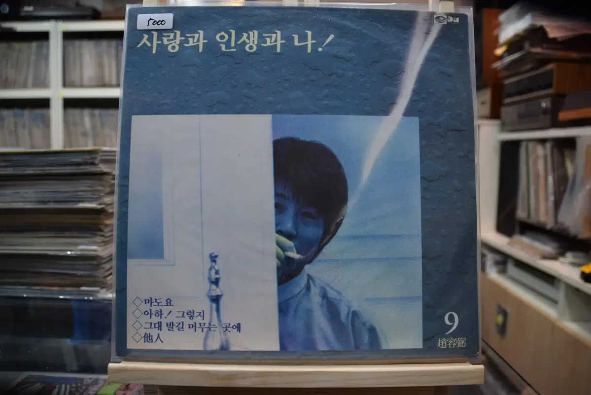 조용필 9집 민트 : 마도요
