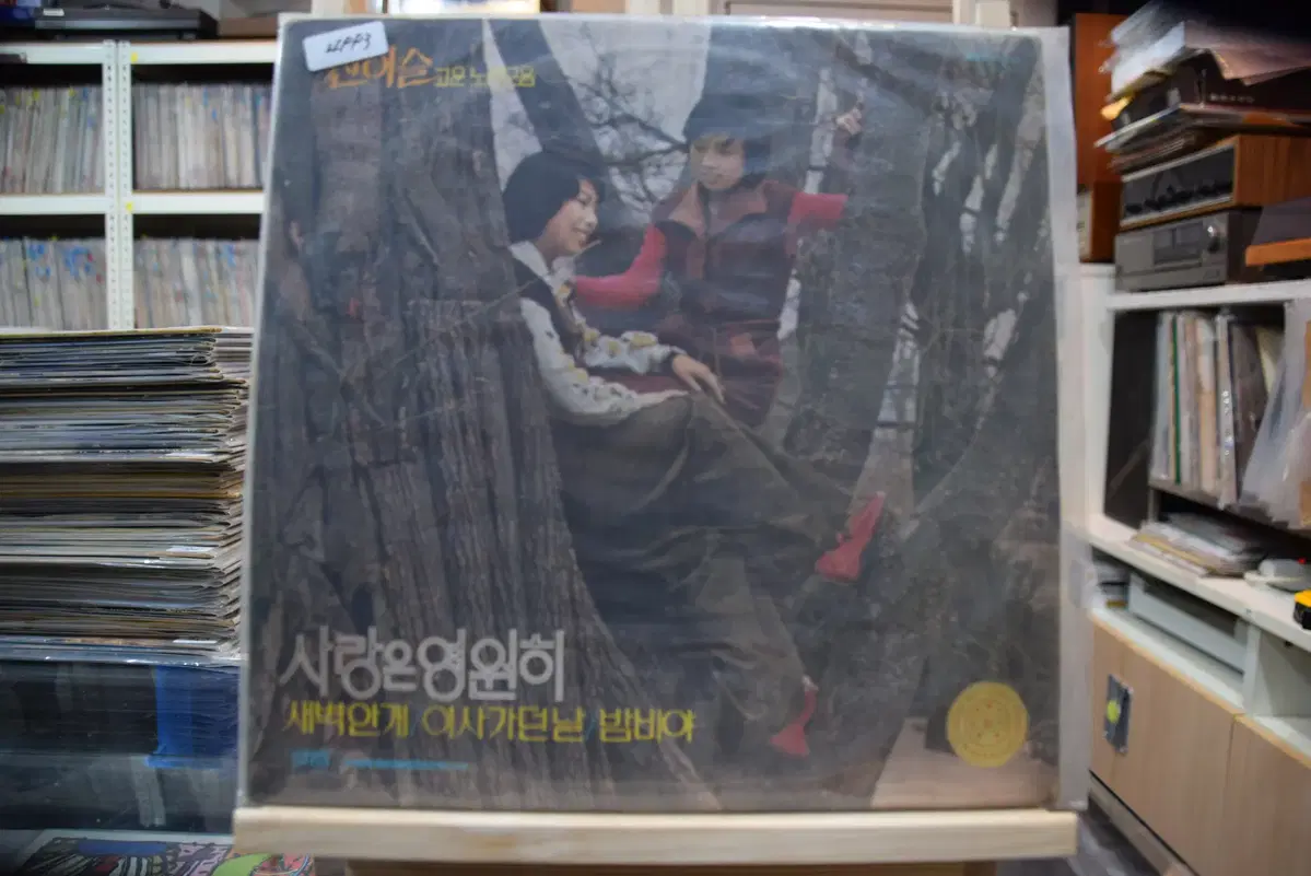 신이슬 초반 고운노래모음 니어민트 : 사랑은 영원히