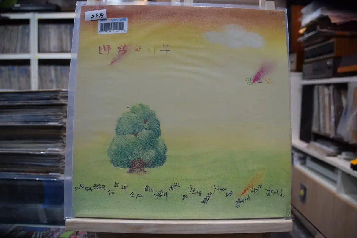 임소남 민트 : 바람과나무