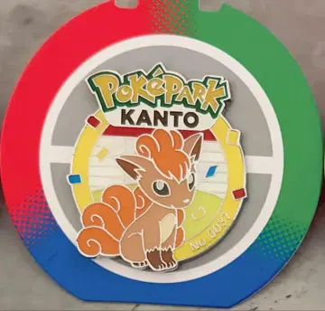 포케파크 관동 핀 배지 식스테일
