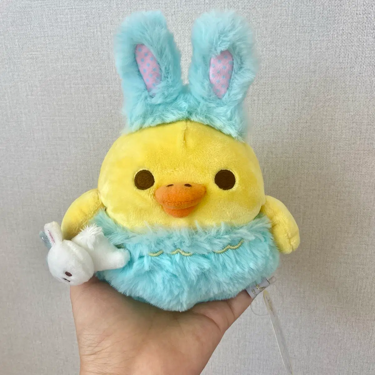 2019년 꽃밭의 작은 토끼 키이로이토리