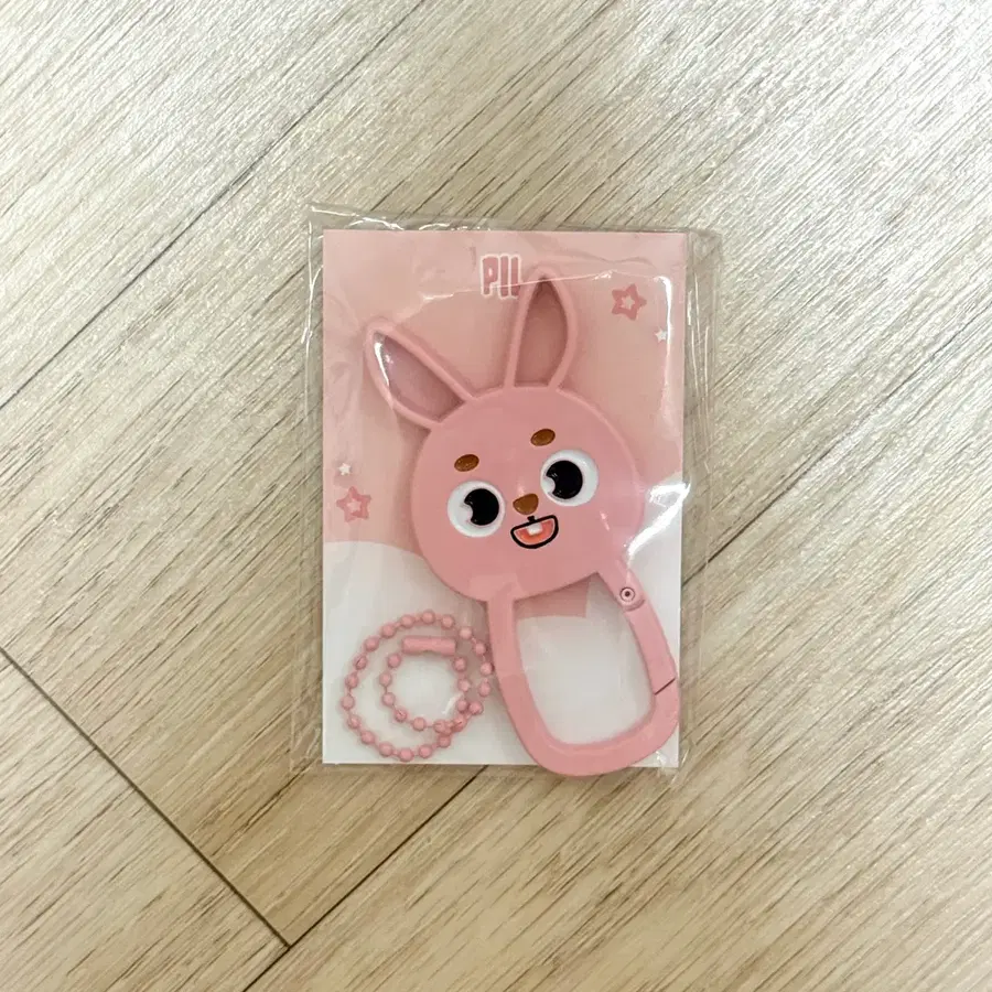 데이식스 필 카라비너 (새상품)