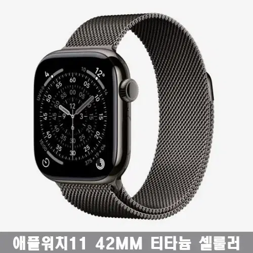 애플워치 11 셀룰러 슬레이트 티타늄 42MM 슬레이트 밀레니즈루프