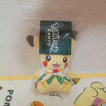 포케파크 KANTO 피카츄 마스코트 봉제 인형