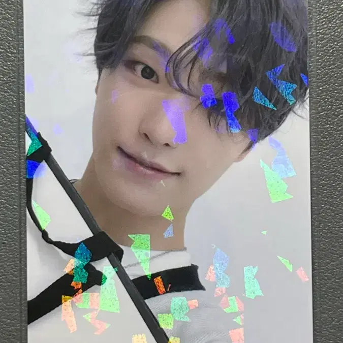 2021 캐럿랜드 트레카 디노