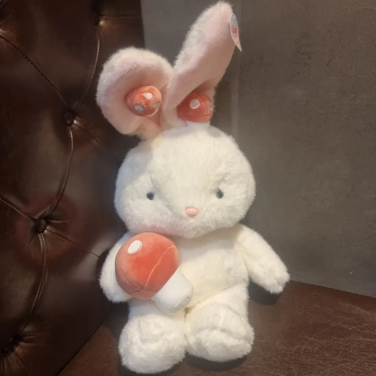 버섯 토끼 인형