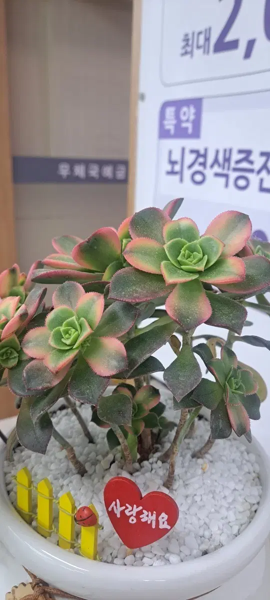 테스트