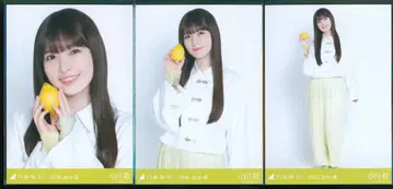 노기자카46 회장 한정판 브로마이드 오가와 아야 2026 July-III 히로시마현 ver. 코디 컴프