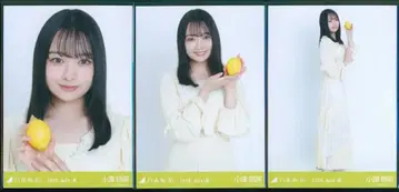 노기자카46 회장 한정판 브로마이드 오즈 레이나 2026.July-III 히로시마현 ver. 코디 컴프