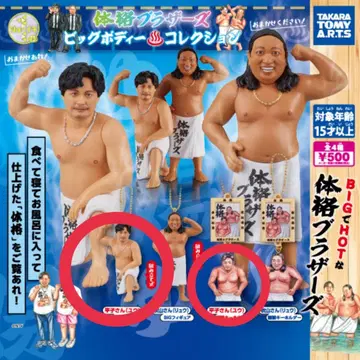 체격 브라더스 빅 바디 컬렉션
