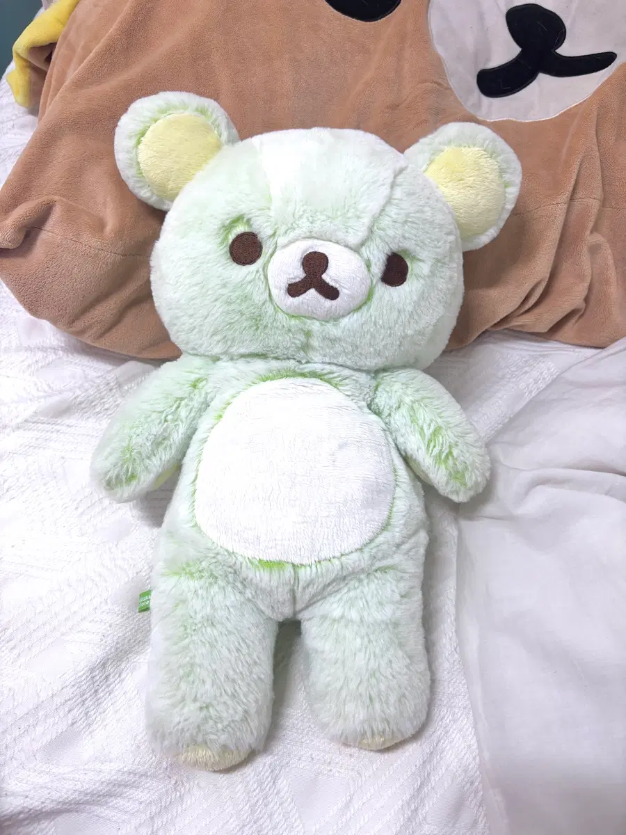리락쿠마 셔벗 그린 초록색 (초초초레어)