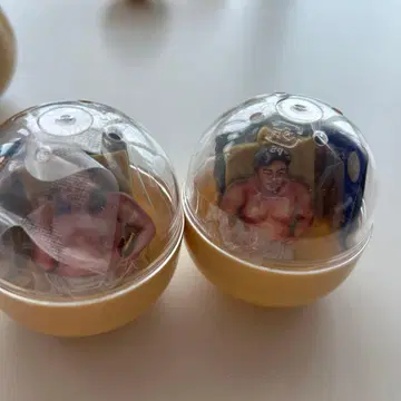 체격 브라더스 빅 바디 컬렉션 가챠 2종 세트 아키야마, 히라코 세트
