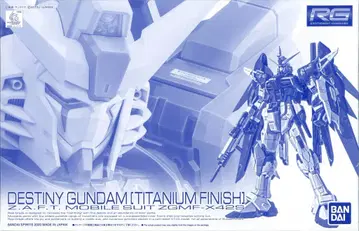 BANDAI SPIRITS RG 1/144 반다이판 기동전사 건담 SEED DESTINY 데스티니 건담 [티타늄 피니쉬]