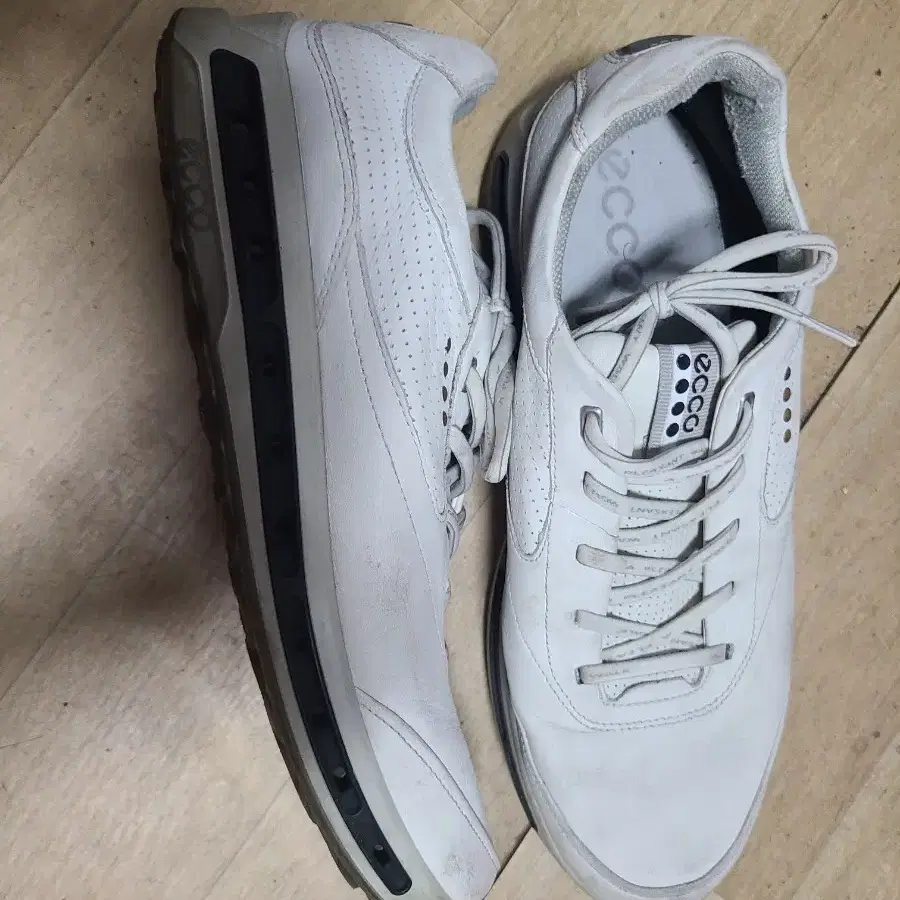 265 에코 골프화 고어텍스