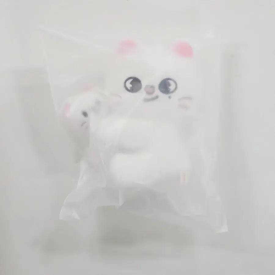 스키주 마그넷 플러시 세트 현진 지니렛