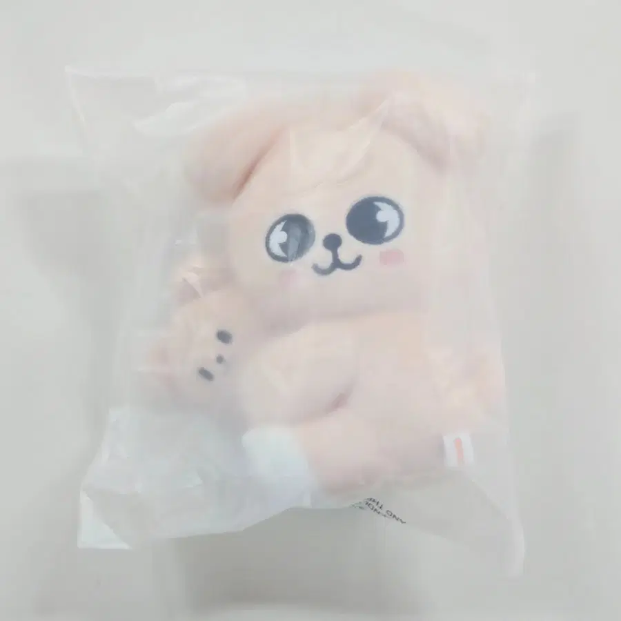 스키주 마그넷 플러시 세트 승민 퍼핌