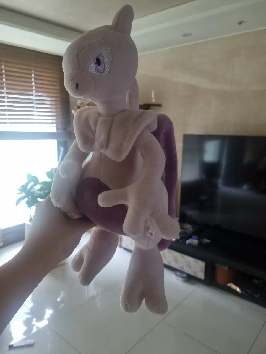 포켓몬 뮤츠 인형
