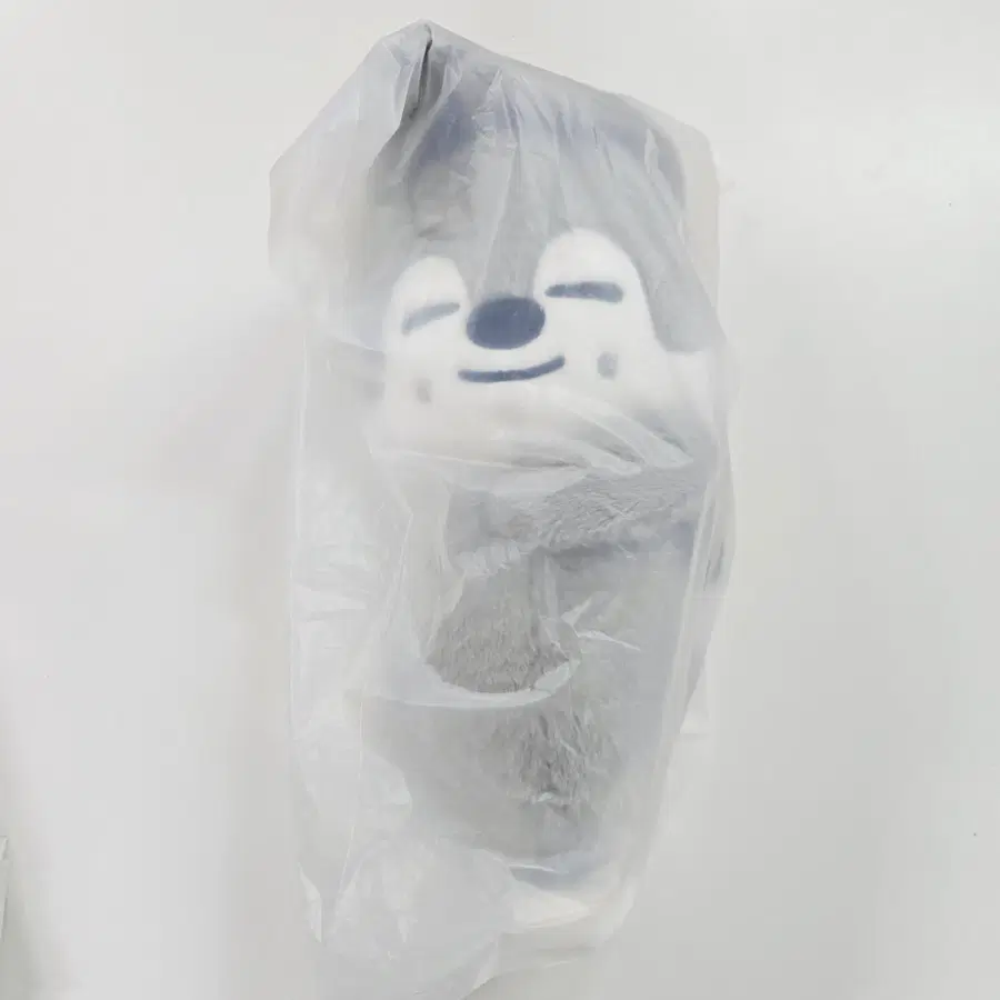 스키주 플러시백 방찬 울프찬
