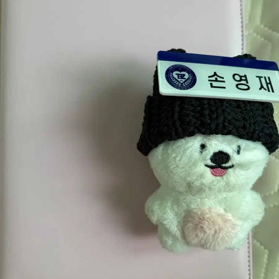 더보이즈 포카 101장 마카롱바인더 멍재