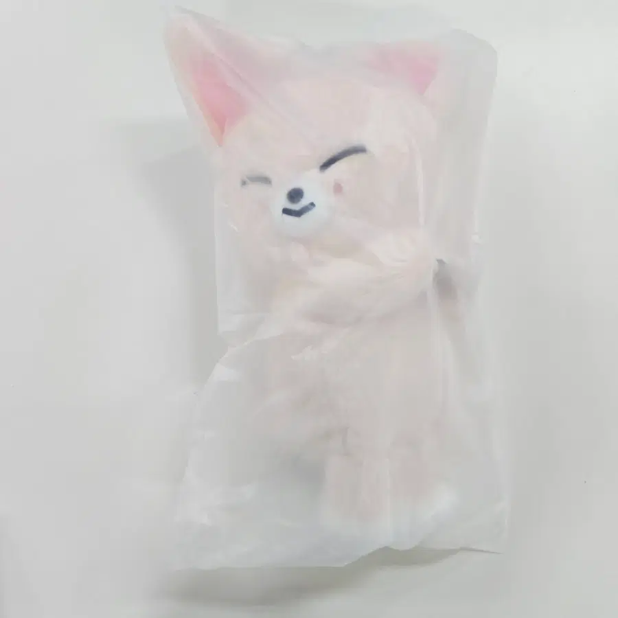 스키주 플러시백 아이엔 폭시니