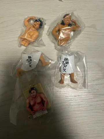 체격 브라더스 바디 컬렉션 아키야마 히라코 피규어 키링