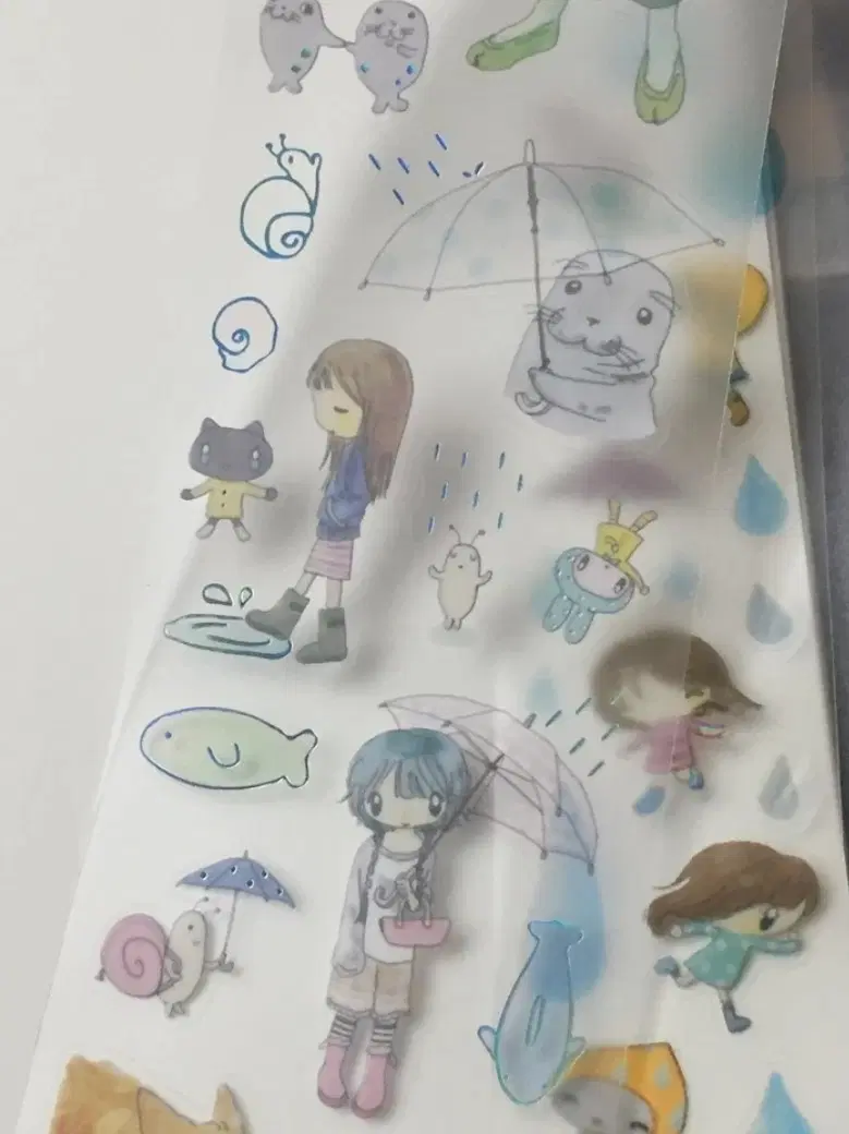 수수 키스컷