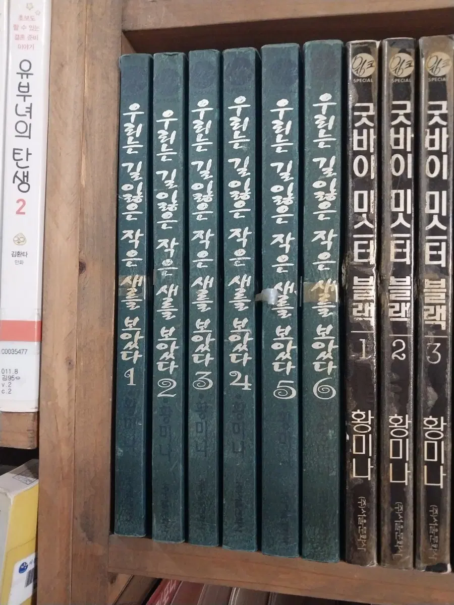 우리는길잃은작은새를보았다1-6.황미나작