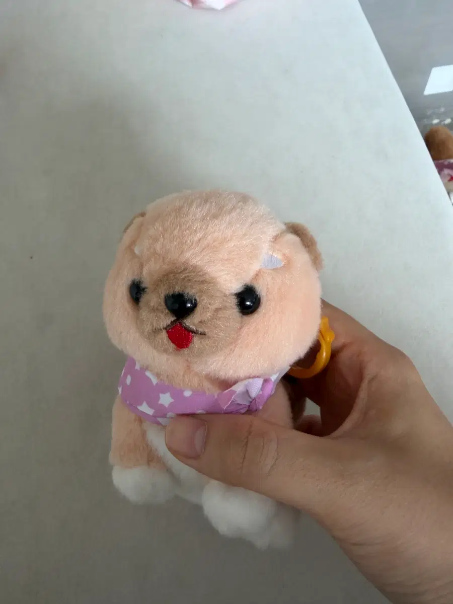 어뮤즈 마메시바 인형 키링