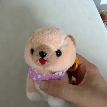 アミューズマメシバ人形キーリング