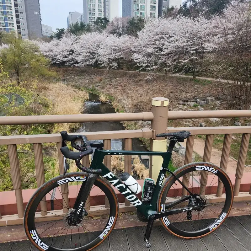 팩터 오스트로 뱀 레이싱 그린 반차 판매 대차합니다