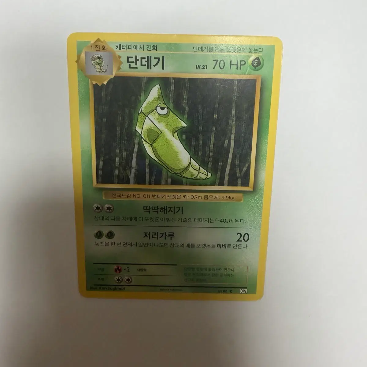 단데기 고전 포켓몬카드