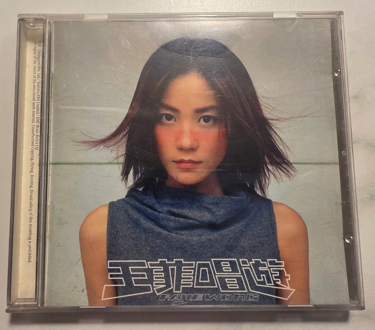 Faye Wong CD 왕비 왕정문 왕페이 페이왕