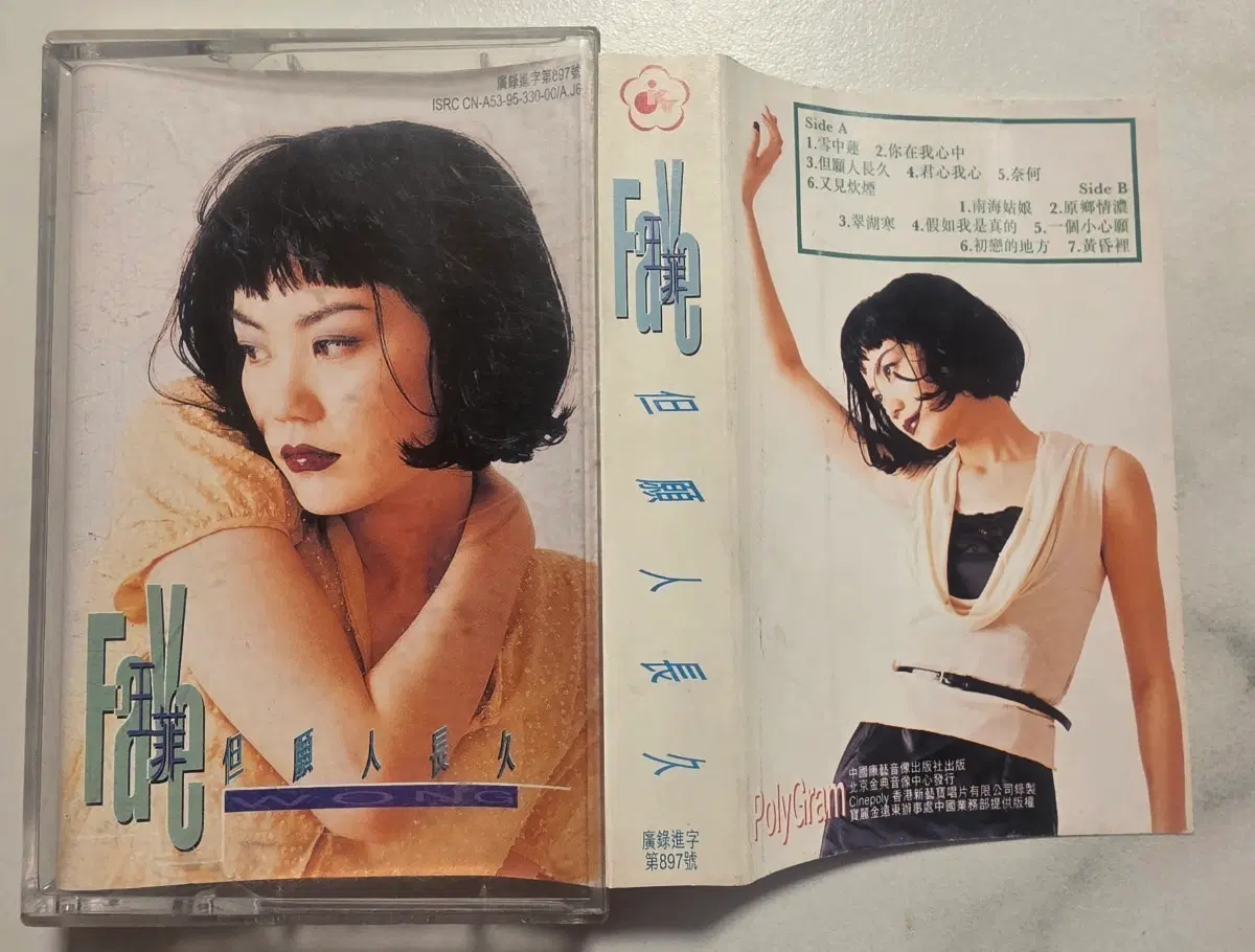 Faye Wong 왕비 왕정문 왕페이 페이왕 카세트 테이프