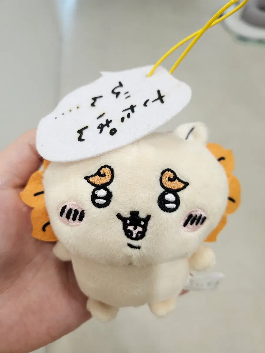 시샤 인형 판매합니다 [쿠리만쥬 판매완료]