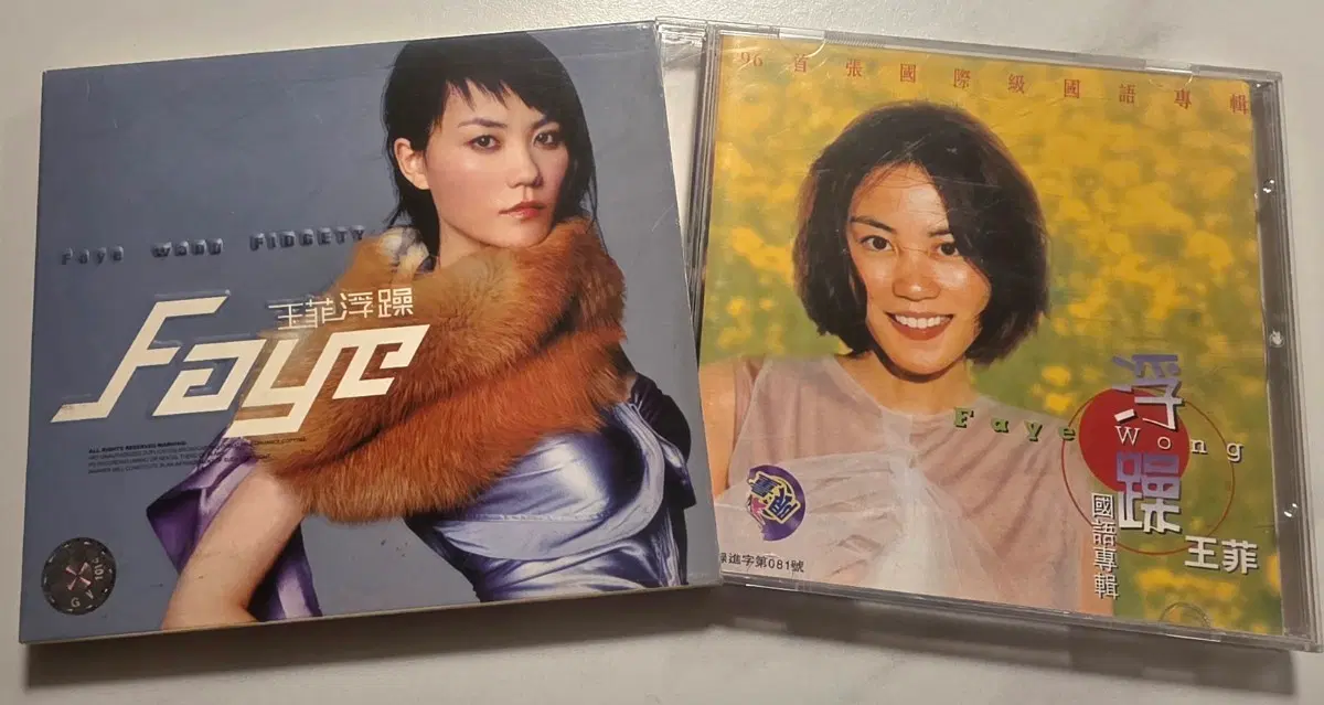Faye Wong CD 왕비 왕정문 왕페이 페이왕